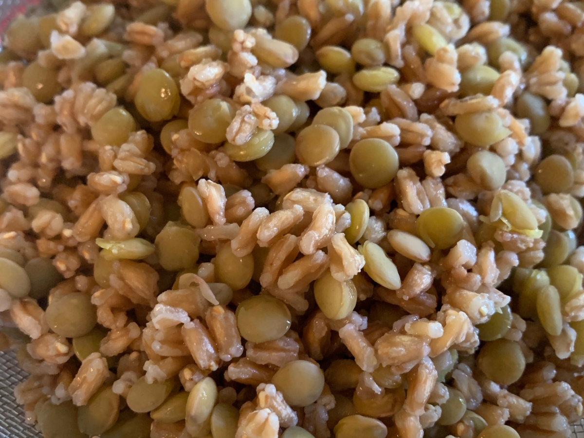farro & lentil rice substitute